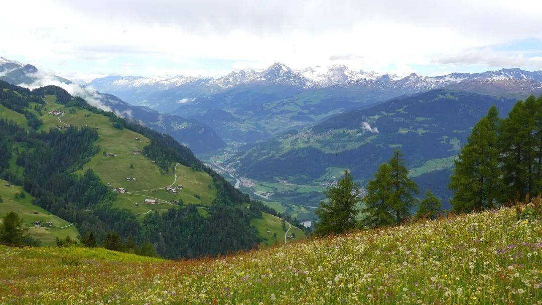 做好期货行情的归纳