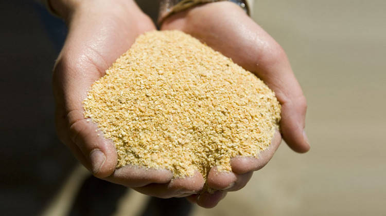 王德诚：8.16重申行情红利来袭<strong></p>
<p>豆粕期货</strong>，焦炭螺纹甲醇豆粕期货分析