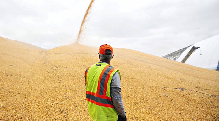 王德诚：8.8玻璃纯碱待破新高<strong></p>
<p>豆粕期货</strong>，白银螺纹钢豆粕期货抗跌性强