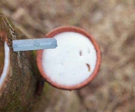 影响天然橡胶期货价格因素有哪些？