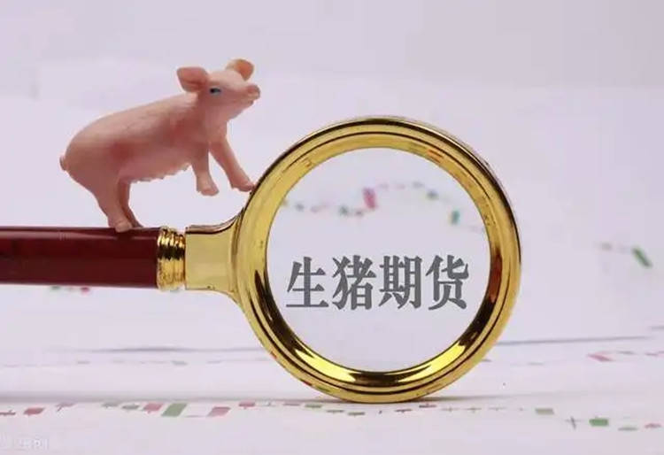 王德诚：7.8风口浪尖猪起飞，甲醇橡胶红枣生猪期货行情分析