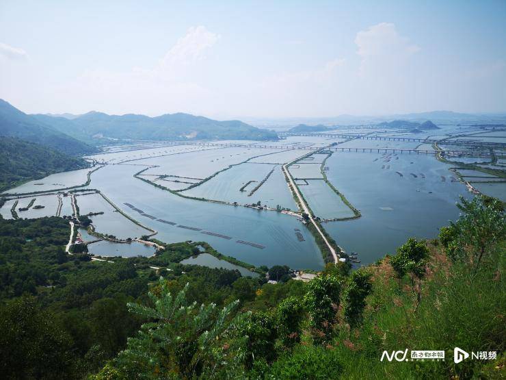 发挥专业优势助力乡村振兴，国信证券获多个社会责任奖项