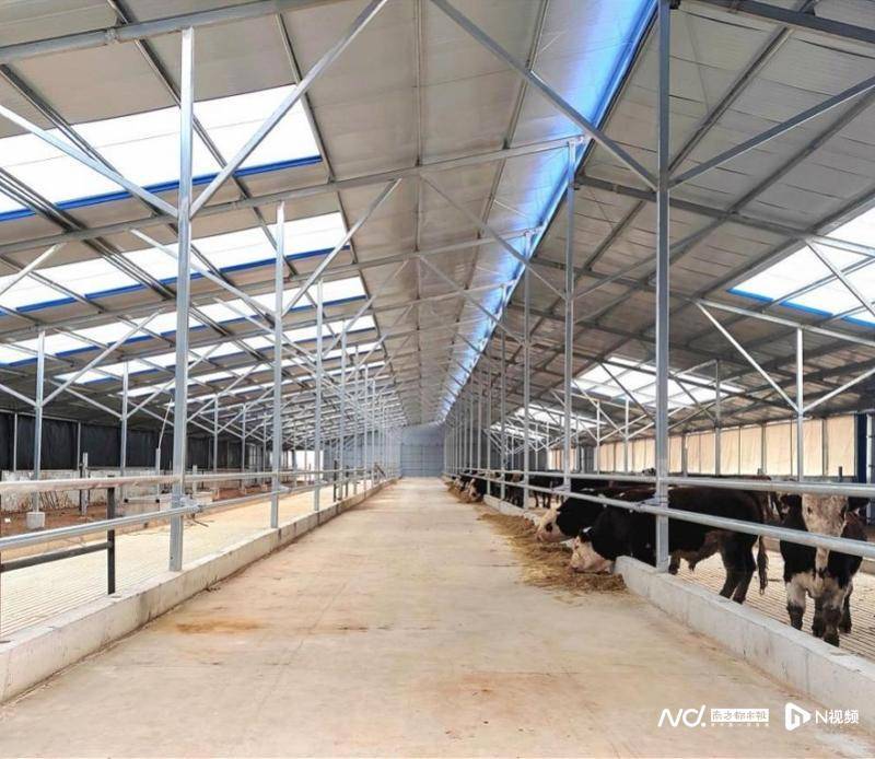 发挥专业优势助力乡村振兴<strong></p>
<p>国信期货</strong>，国信证券获多个社会责任奖项