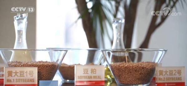 <strong></p>
<p>大豆期货</strong>我国豆系期货及期权正式引入境外交易者 交易安全、平稳运行