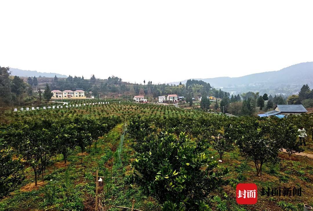 很好的样子 | 村民变股民 四川渠县大雾村走上共同富裕路