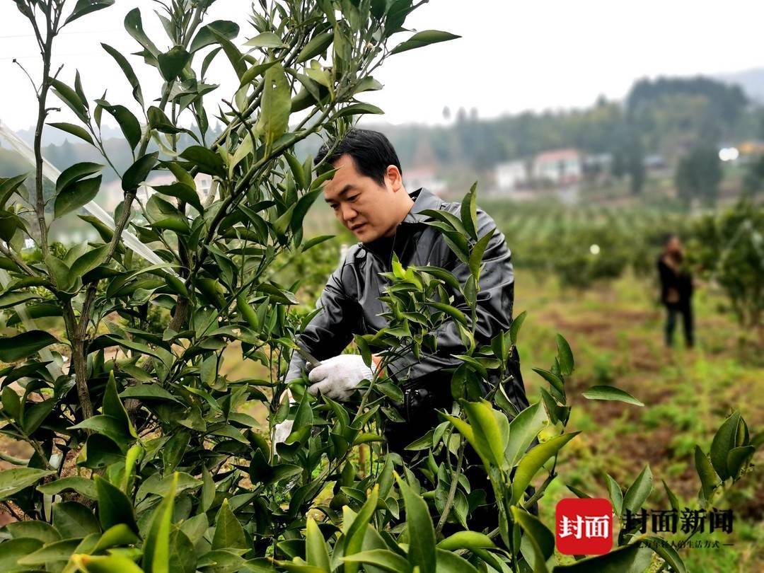很好的样子 | 村民变股民 四川渠县大雾村走上共同富裕路