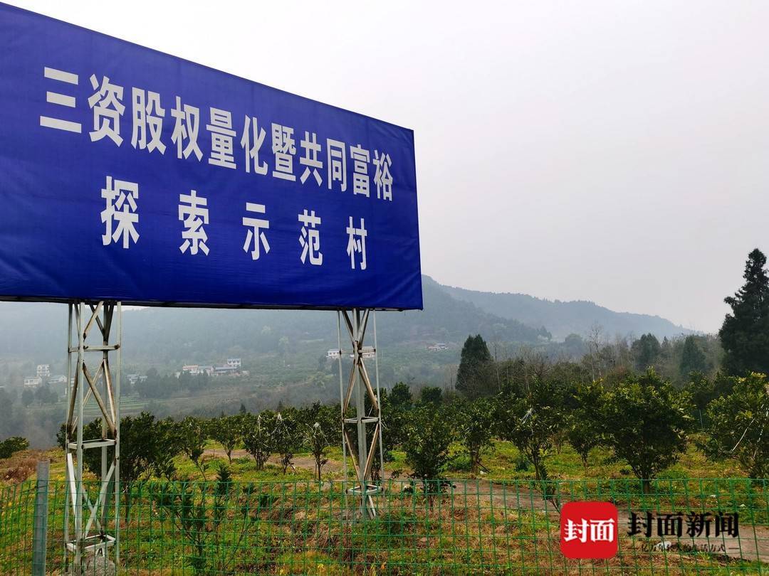 很好的样子 | 村民变股民 四川渠县大雾村走上共同富裕路