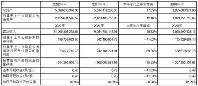 重庆顺博铝合金股份有限公司2022年度报告摘要