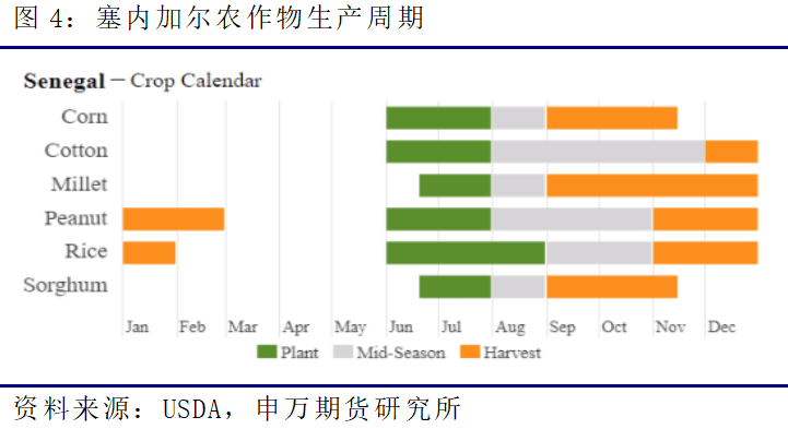 【申银万国期货】一文<strong></p>
<p>申银万国期货</strong>了解进口非洲花生米概况