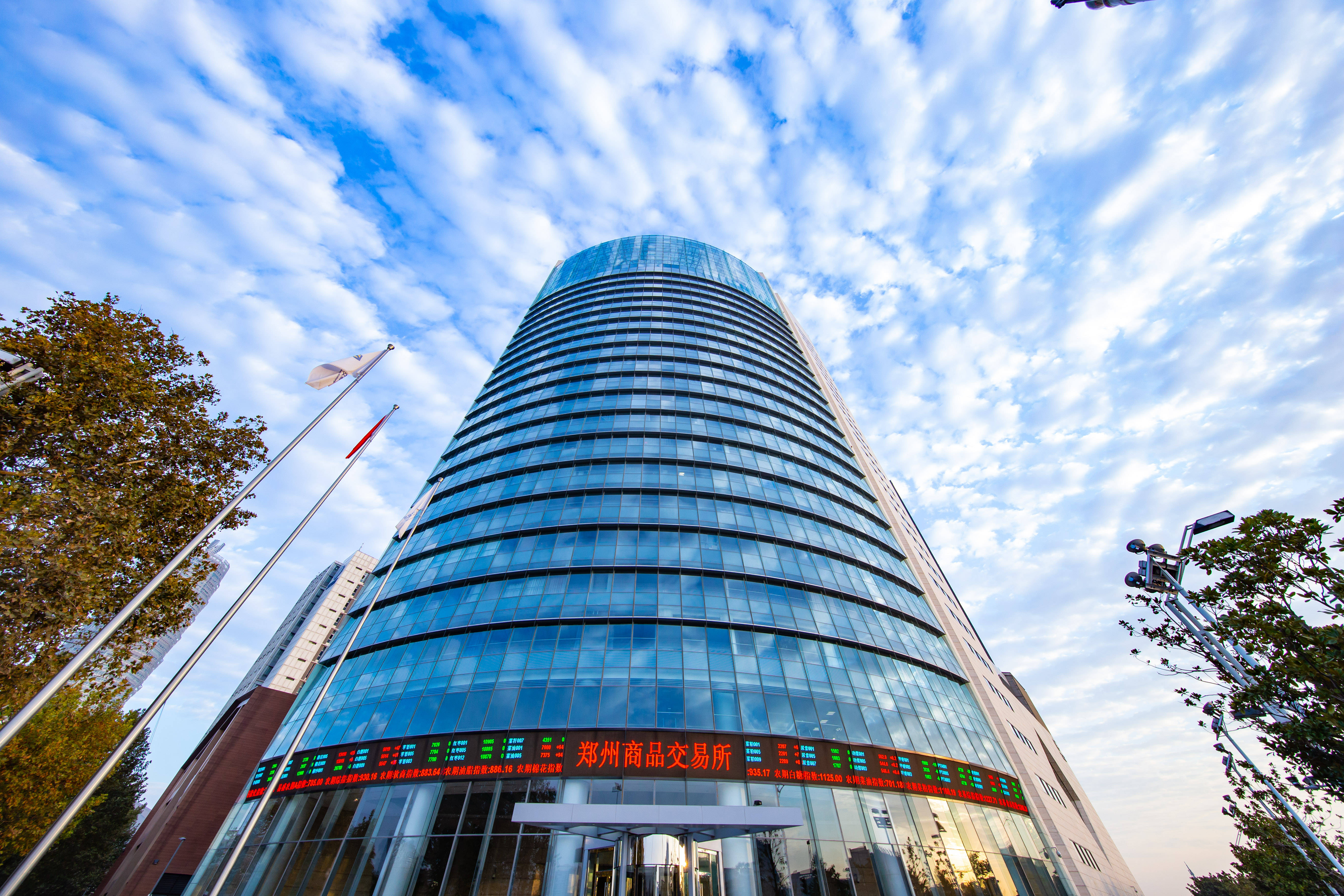 郑州商品交易所：数字化赋能农产品期货 持续提升“中国价格”国际影响力