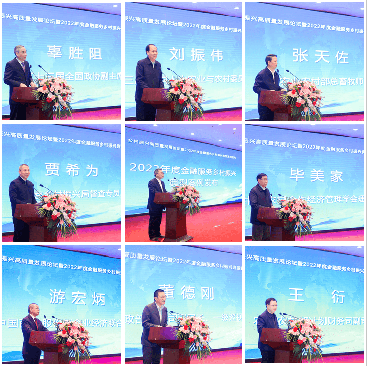 中华保险集团等联合主办乡村振兴高质量发展论坛 聚焦金融服务乡村振兴