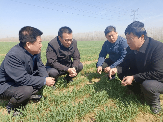 守正创新 科技赋能 中国人寿财险推动“三农”工作高质量发展