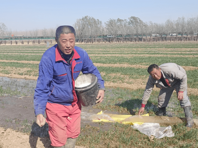 守正创新 科技赋能 中国人寿财险推动“三农”工作高质量发展