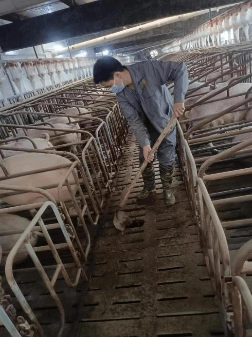 守正创新 科技赋能 中国人寿财险推动“三农”工作高质量发展