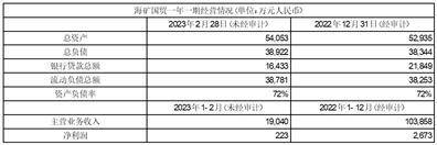海南矿业股份有限公司 关于2022年度利润分配预案的公告
