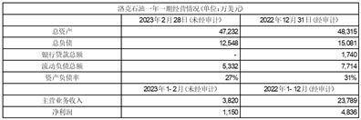 海南矿业股份有限公司 关于2022年度利润分配预案的公告