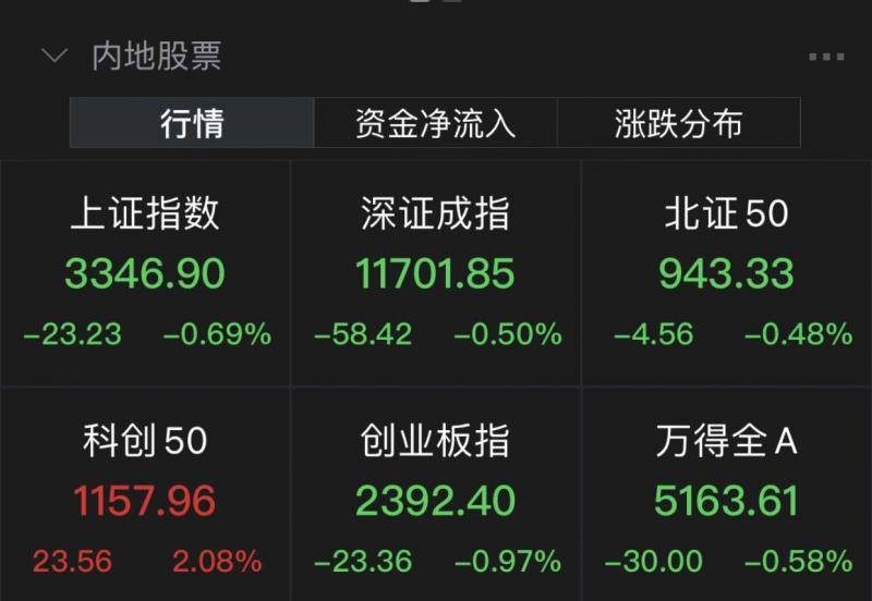 A股低开低走，科创50指数“一枝独秀”！CPO、6G概念大涨
