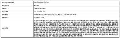 闻泰科技股份有限公司 关于2023年度开展外汇套期保值业务的公告