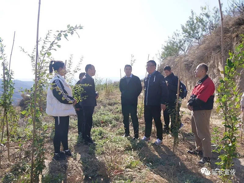 华金期货有限公司调研延长县乡村振兴帮扶工作