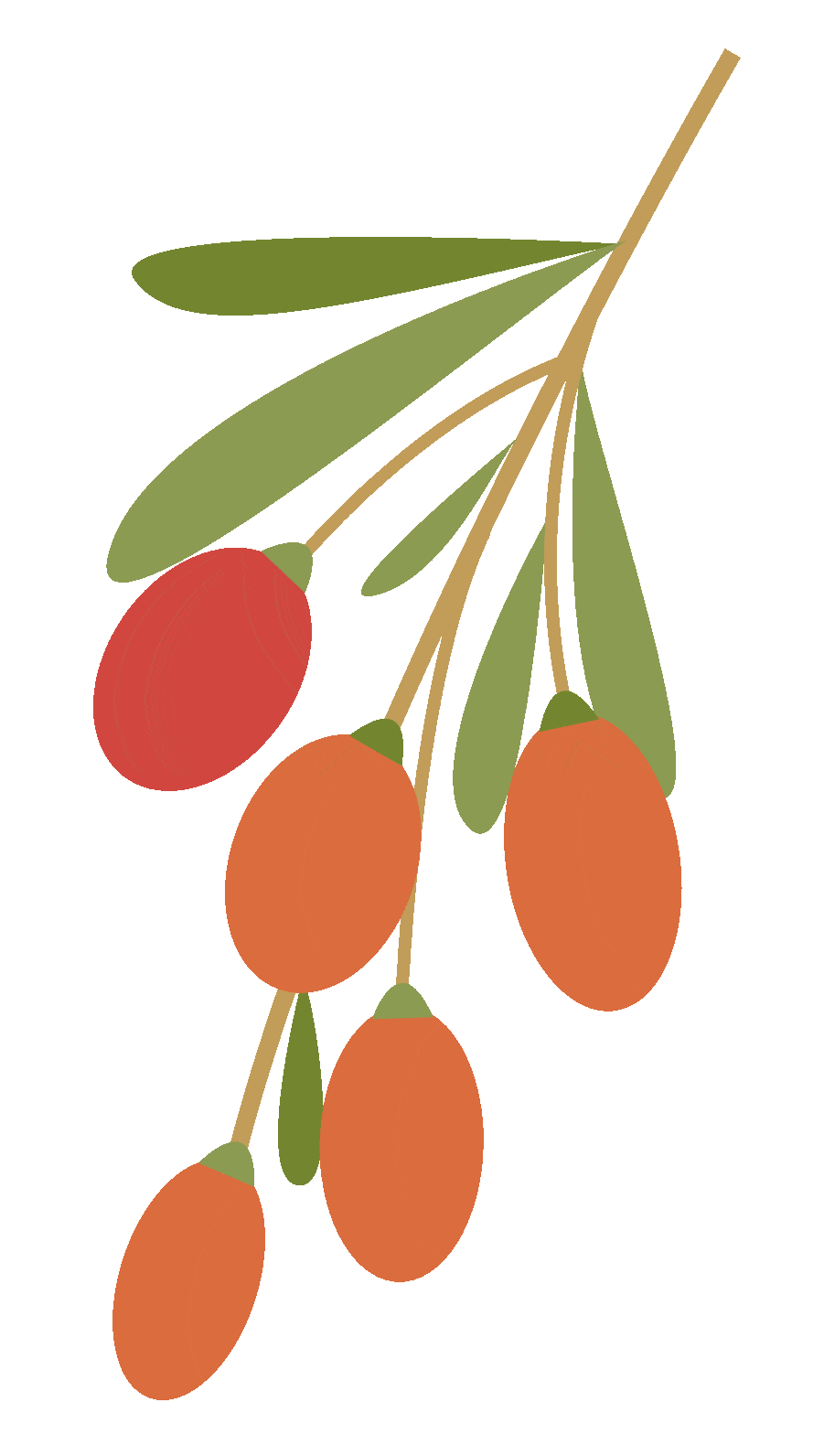 【工作动态】加强专业学习 提升服务能力—齐盛期货开展“服务实体经济优秀案例讲解活动”系列培训（五）