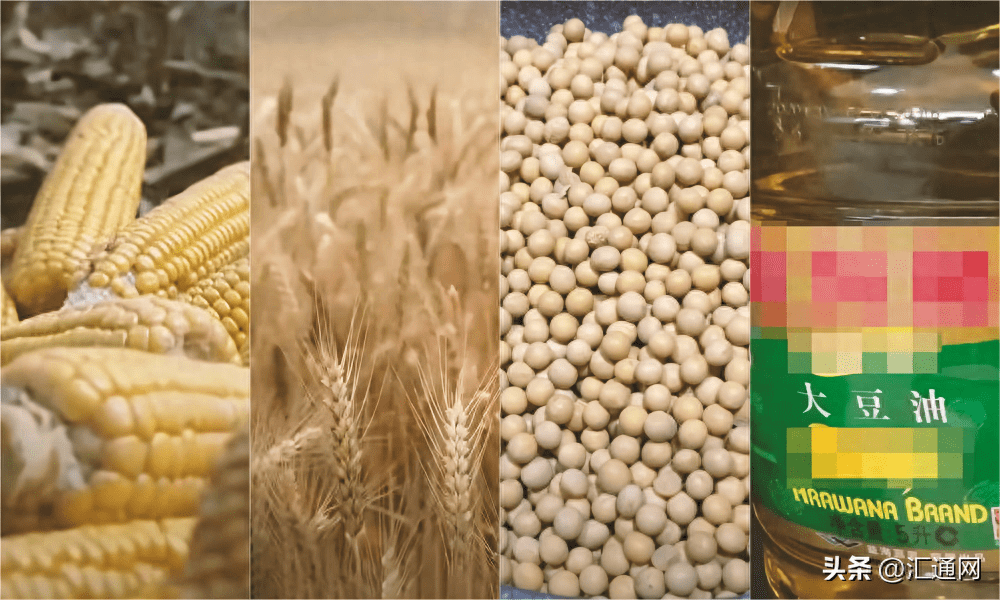 CBOT大豆、小麦、玉米期货技术分析