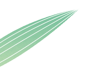 十多万人打卡 ！端午节的仪式感拉满！眉山小小“村舟赛”竟如此“出圈”→