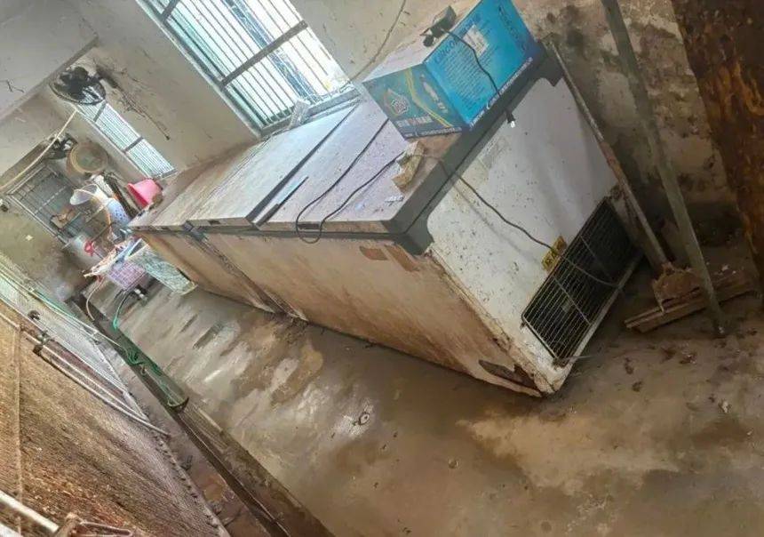 网曝一野生动物园20只东北虎死亡 官方回应：成立调查组全面调查