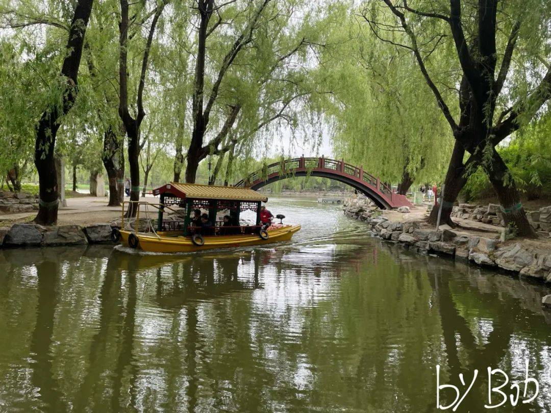 “今年，一级市场投资人忙转型”