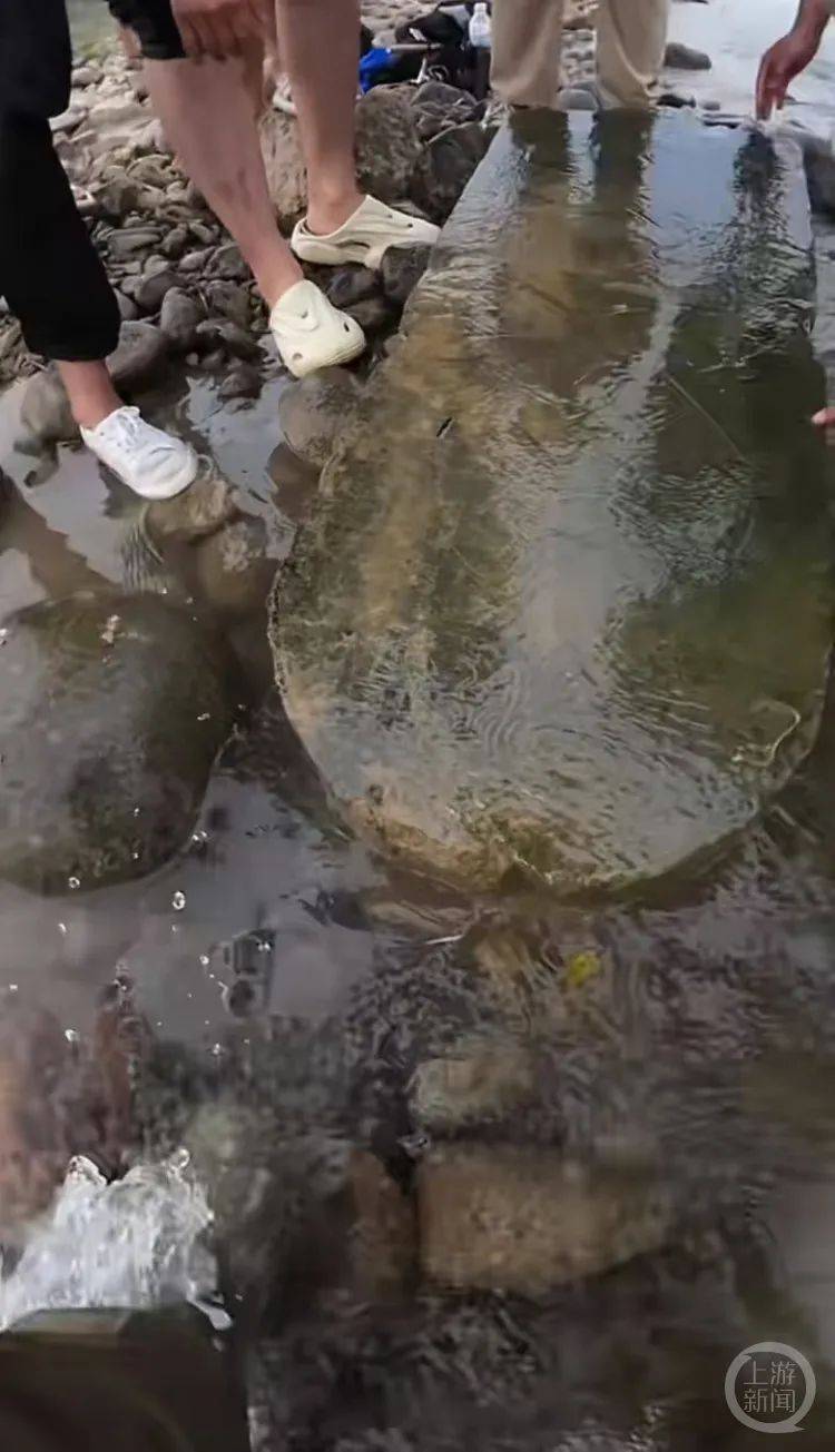 “当时就无心钓鱼了<strong></p>
<p>初链币</strong>！”河南钓友在洛阳附近“钓”到古碑？文保部门回应