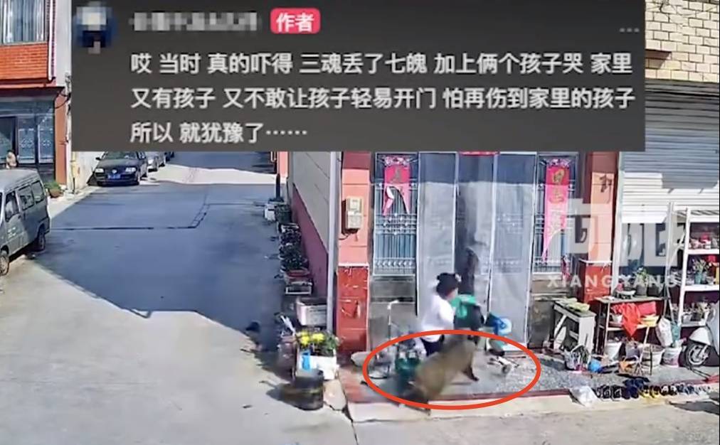 不是上海<strong></p>
<p>etf币</strong>！不是上海！不是上海！最新：已被特警击毙