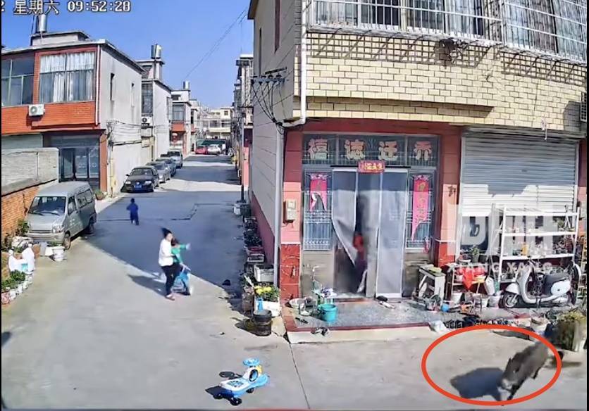 不是上海<strong></p>
<p>etf币</strong>！不是上海！不是上海！最新：已被特警击毙