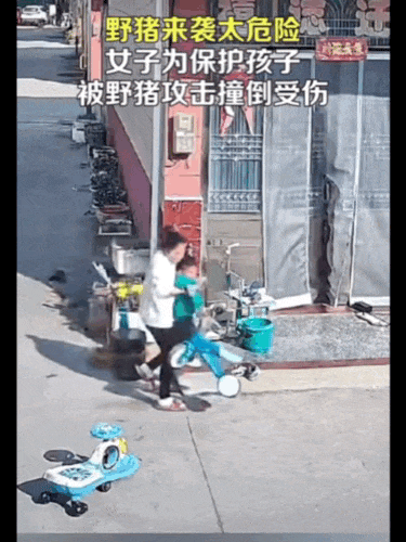 不是上海<strong></p>
<p>etf币</strong>！不是上海！不是上海！最新：已被特警击毙