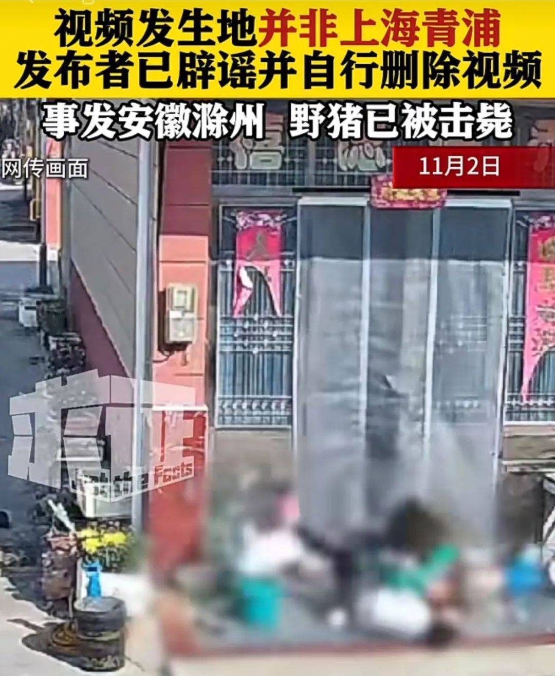 不是上海<strong></p>
<p>etf币</strong>！不是上海！不是上海！最新：已被特警击毙