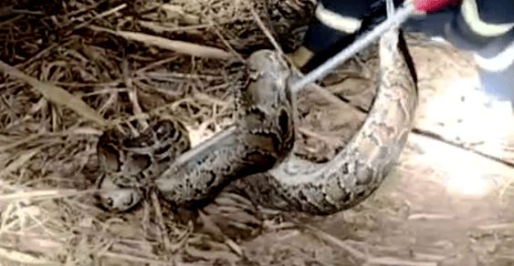 广东11月将迎3次降水<strong></p>
<p>etf币</strong>，4次冷空气！未来广州天气→