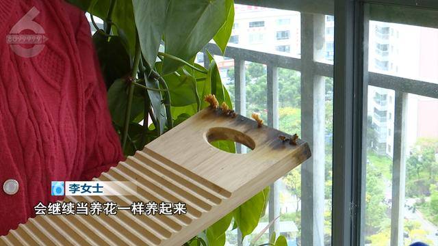 “可以蒸蛋”！昆明一女子家中搓衣板上长菌<strong></p>
<p>币圈代投</strong>，品种竟是……