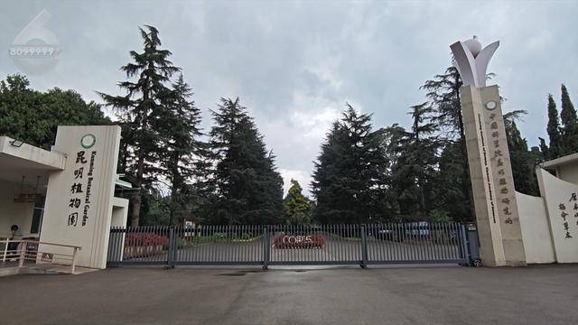 “可以蒸蛋”！昆明一女子家中搓衣板上长菌<strong></p>
<p>币圈代投</strong>，品种竟是……