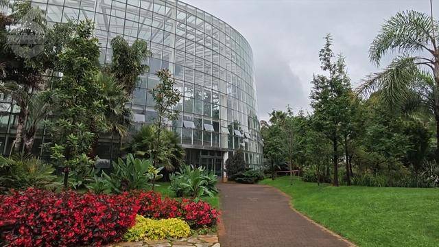 “可以蒸蛋”！昆明一女子家中搓衣板上长菌<strong></p>
<p>币圈代投</strong>，品种竟是……