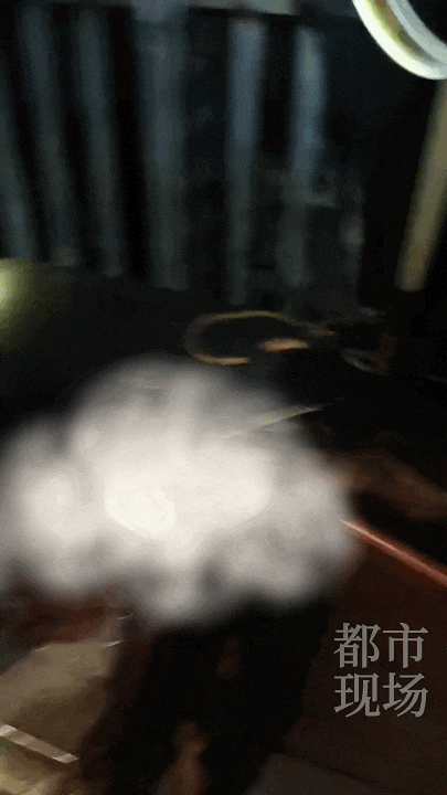 江西一高校惊现野猪<strong></p>
<p>飙升币行情</strong>，最后在食堂被成功抓获