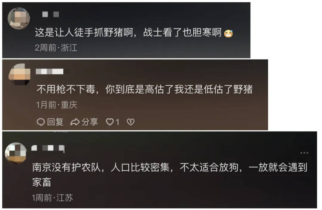 91.5万元打300头野猪<strong></p>
<p>飙升币行情</strong>，南京一企业中标后弃标，知情人：人手不够