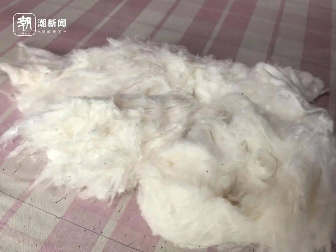 生意越来越差<strong></p>
<p>蜜蜜币</strong>！杭州老师傅求助：价廉物美的东西应该被看见