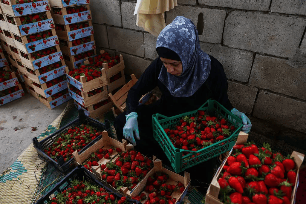 叙利亚战火持续<strong></p>
<p>扣币</strong>，攻下阿勒颇的反对派武装到底什么来头？在下一盘什么棋？