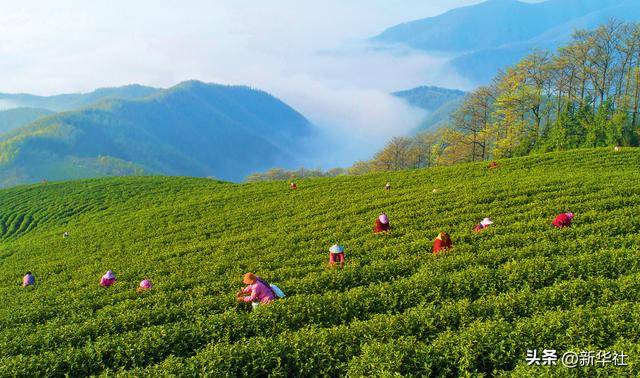 瞭望·治国理政纪事｜“<strong></p>
<p>祥云币</strong>我也是个老基层”