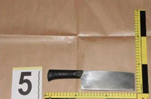 男子看监控发现妻子出轨<strong></p>
<p>鲸鱼币</strong>，怒气冲冲回家抓现行，举起菜刀……