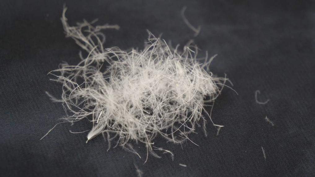 羽绒服“假绒”乱象调查：“羽丝”“绒丝”到底是什么<strong></p>
<p>wfee币</strong>？