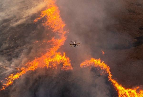 美国科学家震惊：封杀中国无人机<strong></p>
<p>新农币</strong>，“简直是疯了！”