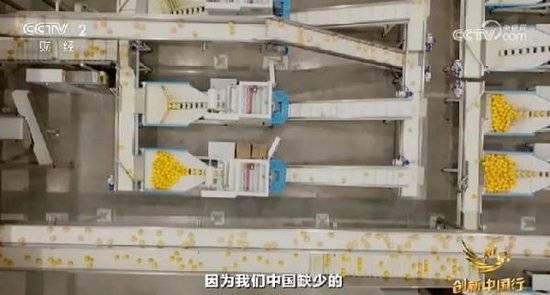 2024年末央视再度专访钟睒睒<strong></p>
<p>炒币的网站</strong>，背后有何深意？