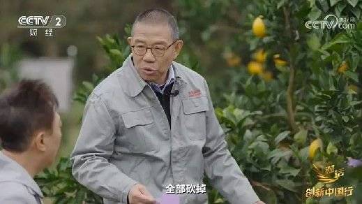 2024年末央视再度专访钟睒睒<strong></p>
<p>炒币的网站</strong>，背后有何深意？