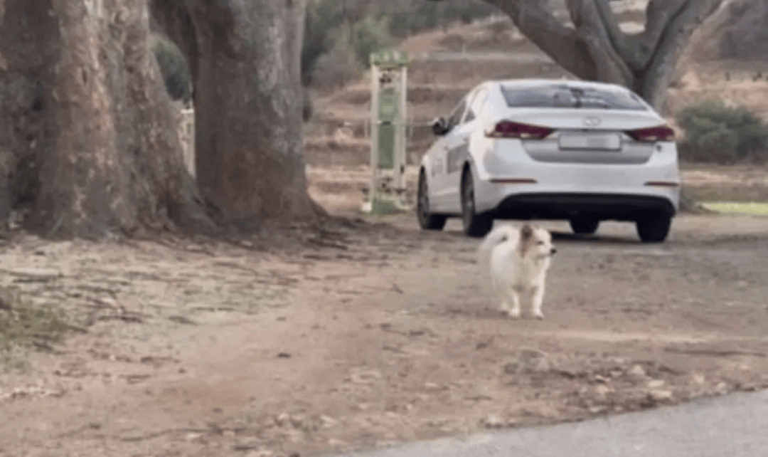 韩国空难机长最后动作曝光<strong></p>
<p>玩币圈</strong>，“他可能一直紧握操纵杆坚持到了最后”！涉嫌职务过失致死，涉事航司高管被禁止出国！调查中飞机残骸再次起火