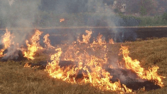 唐山各乡镇、村落一律禁止<strong></p>
<p>合约币走势</strong>！多名村民被罚