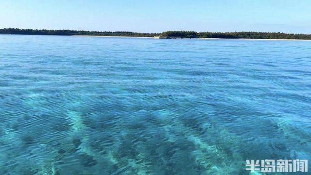 青岛女子买下70万平米小岛后续来了：目前没打算私有<strong></p>
<p>支点币圈</strong>，七八月份将带员工到岛上团建